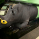A white rhino in a tanning bed.